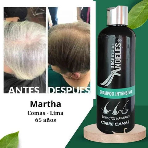 Shampoo Mágico Cubre Canas - Cubre las Canas Desde la Primeira Aplicacion ¡ENVÍO GRATIS HOY!