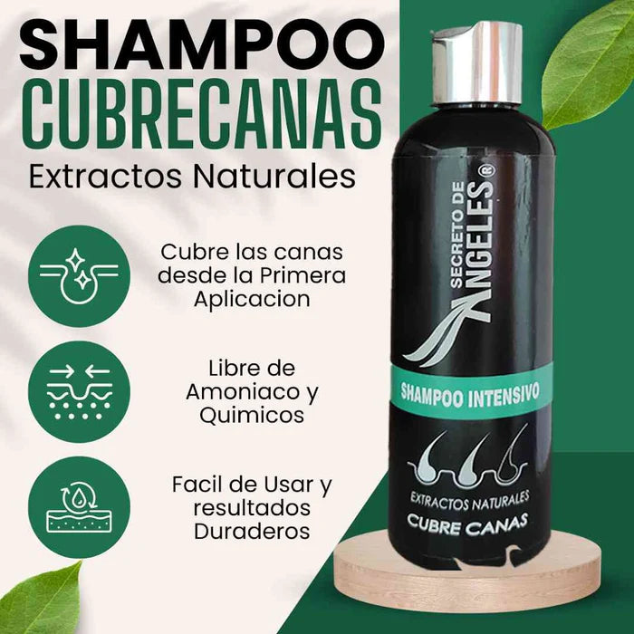 Shampoo Mágico Cubre Canas - Cubre las Canas Desde la Primeira Aplicacion ¡ENVÍO GRATIS HOY!